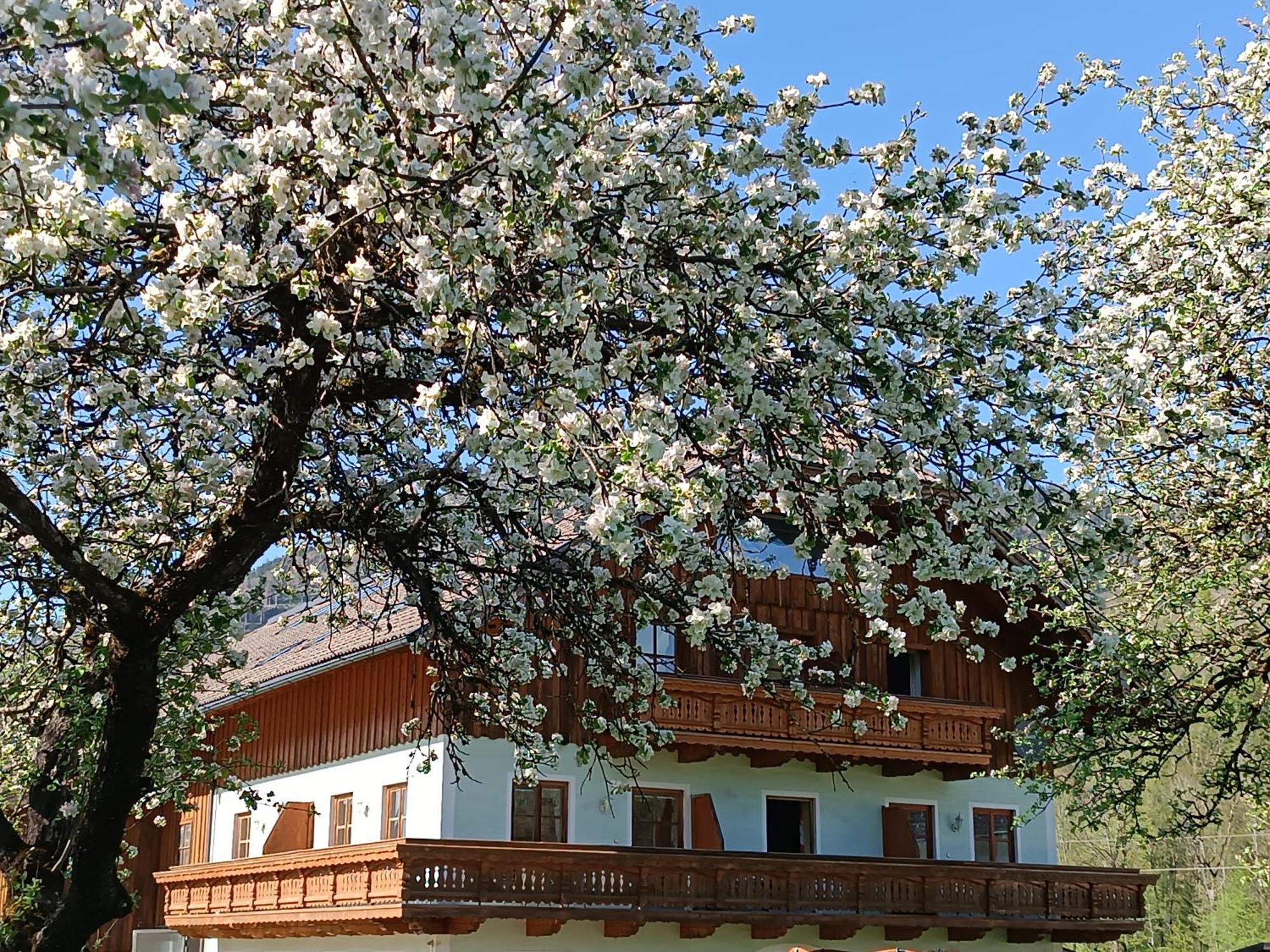 Hintererhof Daire Hintersee Dış mekan fotoğraf