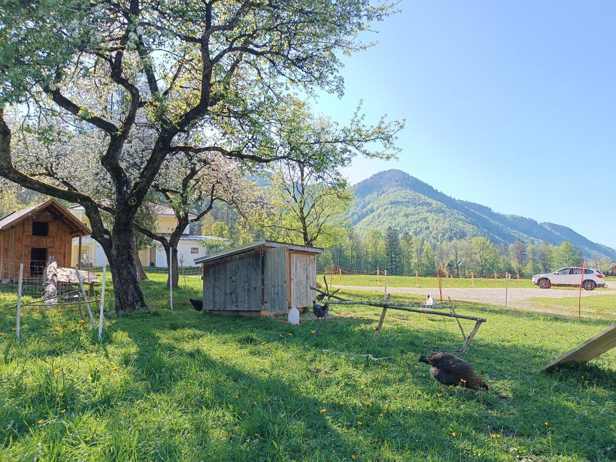 Hintererhof Daire Hintersee Dış mekan fotoğraf